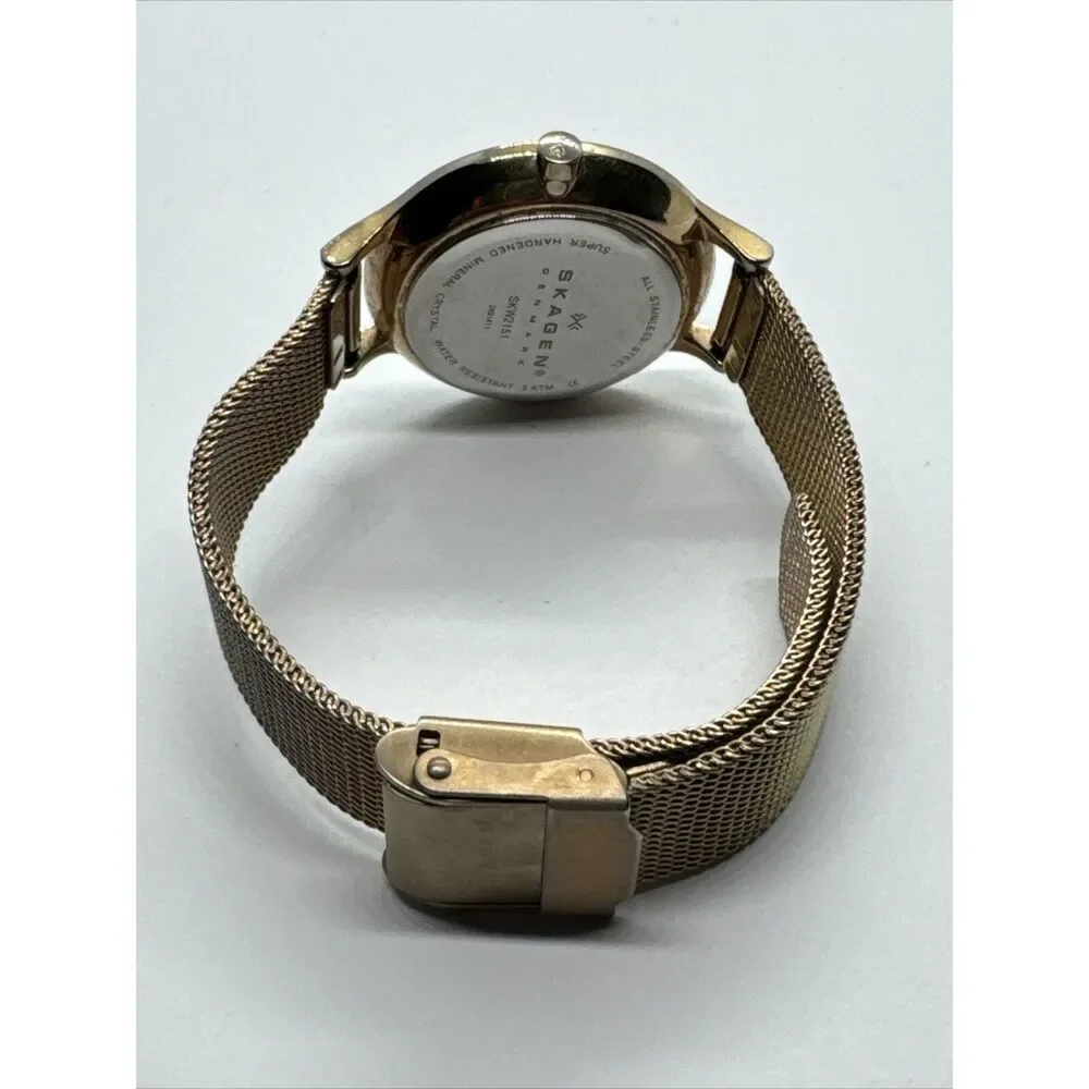 Skagen SKW2151 Womens Stainless Steel Mesh Analog Dial Quartz Wrist Watch AEA022